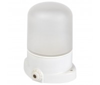 Светильник для бани и сауны, потолочно-настенный IP54, 60Вт, НПБ-400, Заря